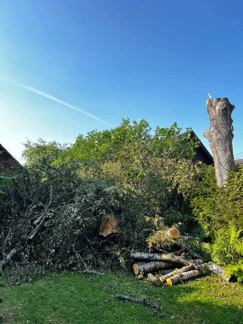 Ohtlike okste eemaldamine pärast tööd (teine vaade).